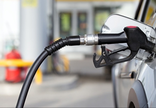 В ФАС потребовали от ряда нефтяных компаний увеличить объемы продаж бензина на бирже