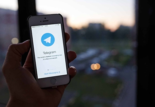Telegram оштрафовали на 4 млн рублей за неудаление 32 каналов с фейками об СВО