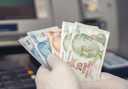 Стоимость турецкой лиры впервые преодолела отметку в 24 лиры за доллар