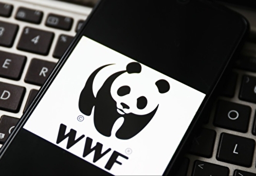 Минюст внес WWF в перечень нежелательных в России организаций