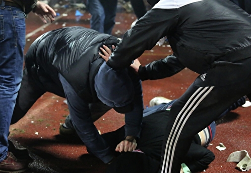 В Подмосковье полиция задержала мигрантов-участников массовой драки