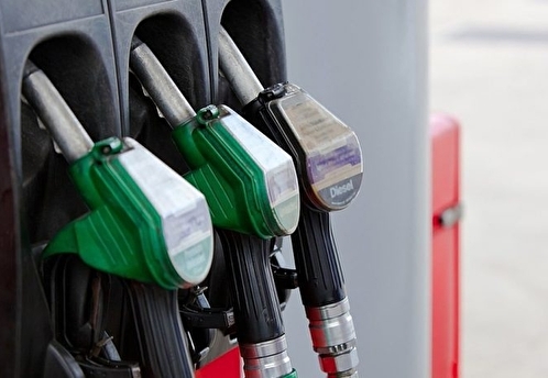 Новак заявил, что цены на бензин в России стабилизируются после ремонтов на НПЗ