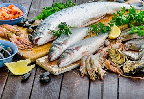 Правительство ввело запрет на ввоз рыбы и морепродуктов из недружественных стран