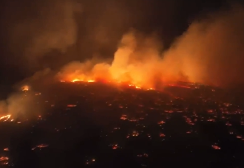 По меньшей мере 36 человек погибли в результате лесных пожаров на Гавайях