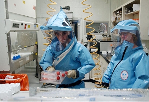 Минобороны России: США начали подготовку к новой пандемии и ищут мутации вирусов