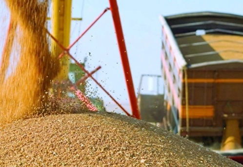 Глава Минсельхоза Патрушев: в России сбор зерна превысил 105 млн тонн