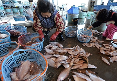 Россельхознадзор не выявил радиоактивную рыбу после сброса воды с «Фукусимы»