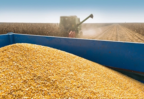Украина начала экспорт зерна через порты Хорватии