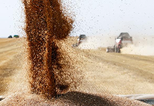 В Польше заявили, что не пустят Украину в ЕС без решения вопроса экспорта зерна