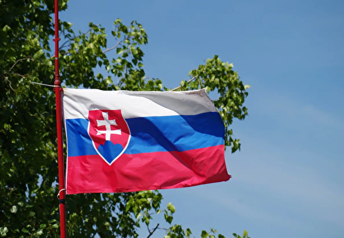 В Еврокомиссии заявили о беспрецедентной дезинформации на выборах в Словакии