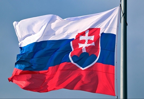 Российского представителя вызвали в МИД Словакии из-за слов о влиянии на выборы