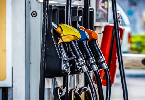 ФАС потребовала от нефтяников и частных АЗС снизить цены на топливо