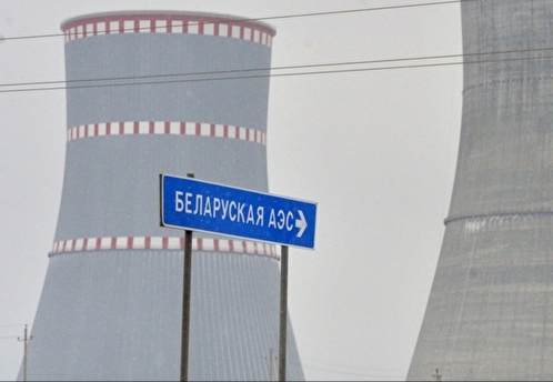 Депутат Госдумы Чепа назвал корпоративным вопросом требование Лукашенко по БелАЭС