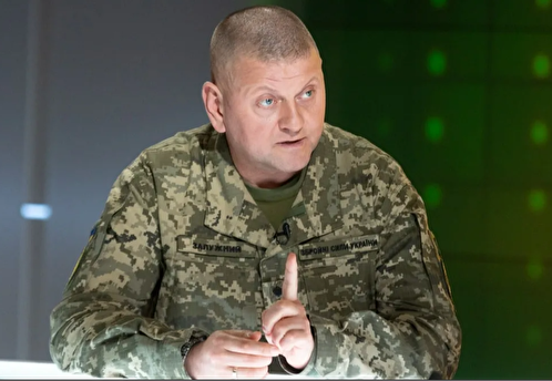 Нардеп Украины Арьев опроверг свои слова о готовящейся отставке Залужного