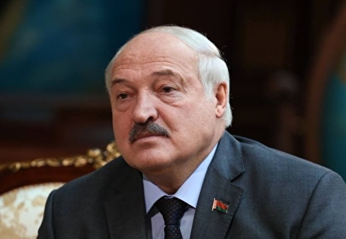 Лукашенко заявил о вскрытых преступных схемах поставок молочной продукции в РФ