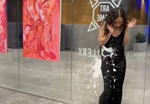 На открытии выставки в Москве художницу из Петербурга облили краской