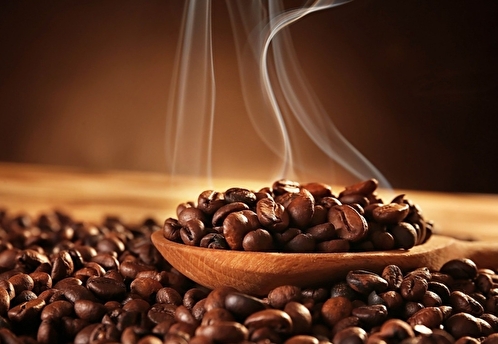 FT: в ЕС могут уничтожить сотни тысяч тонн кофе и какао из-за закона о лесах
