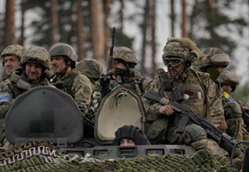 Пушков назвал заявления в НАТО об успехах ВСУ свидетельством невменяемости