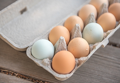 В Белгородской области ограничили продажу яиц на ярмарках в одни руки