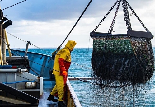 DR: соглашение России и Фарер по рыболовству поставило Данию в глупое положение