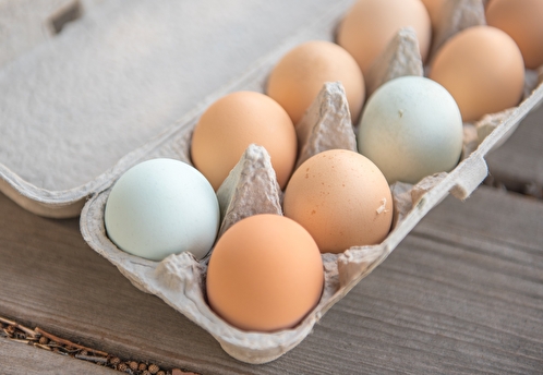 Минсельхоз спрогнозировал стабилизацию цен на куриное яйцо в ближайший месяц
