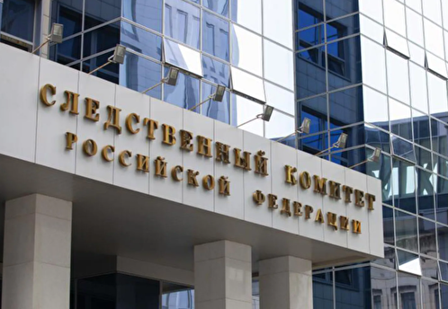 СК попросил МВД лишить приобретенного гражданства России семерых осужденных