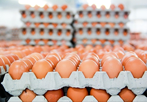 Совет ЕЭК предоставил России возможность обнулить пошлины на импорт яиц