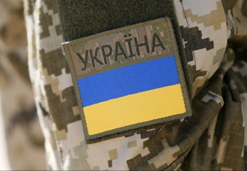 Евродепутат Уоллес призвал ЕС понести ответственность за мобилизацию украинцев
