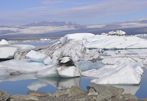 Зоолог Стейнер: США нужно отозвать претензии на расширение шельфа в Арктике