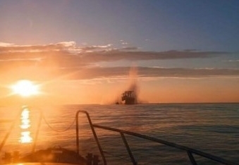 ВСУ сообщили о подрыве балкера под флагом Панамы на мине в Черном море