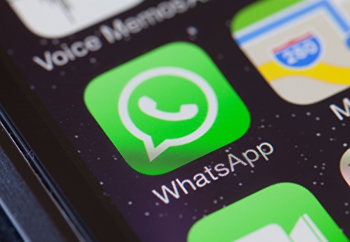 «Сбой.рф»: число жалоб россиян на работу WhatsApp достигло почти 1,3 тысячи