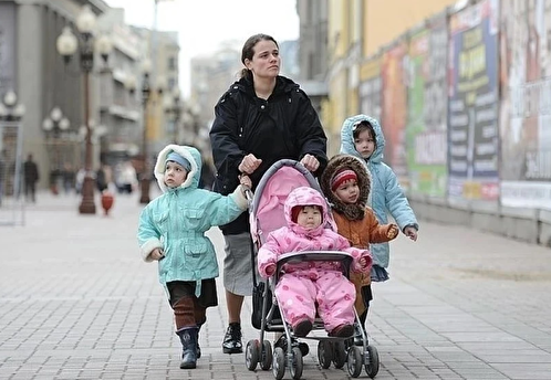 Путин законодательно закрепил единый статус многодетной семьи