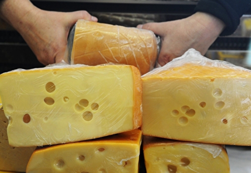 Подмосковье является лидером по производству сыра в России