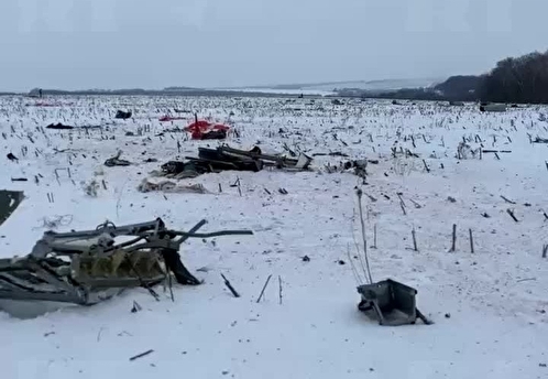 Экспертиза подтвердила, что Ил-76 сбит западным комплексом ПВО