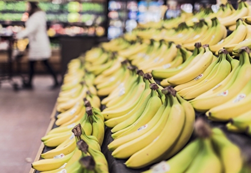 Эквадор предоставил документы для отмены ограничений на ввоз бананов в Россию