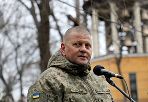 Генерал ВСУ в отставке Кривонос: военные возмутились увольнением Залужного
