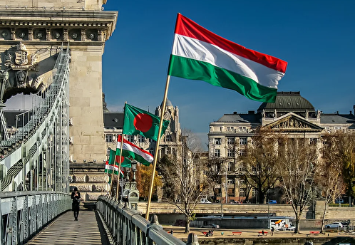 Власти Венгрии не стали встречаться с сенаторами США по членству Швеции в НАТО