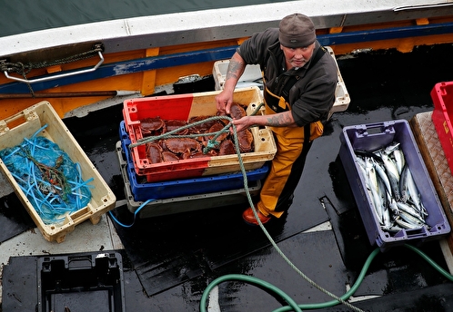 Госдума расторгла соглашение с Британией о рыболовстве
