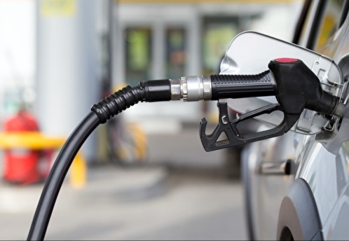 Эксперты оценили эффект на рынок топлива от запрета экспорта бензина на полгода