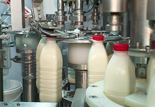 Россельхознадзор обнаружил 33 тонны фантомных молочных продуктов