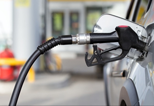 Правительство предложило новые меры сдерживания цен на бензин