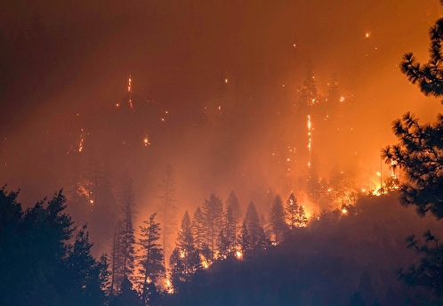 Новости регионов: В Челябинской области начали гореть леса