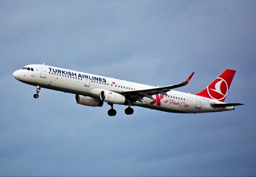 Песков: Москва работает с Анкарой по ситуации с Turkish Airlines