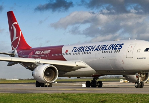 Посольство направило ноту в МИД Турции из-за отказов Turkish Airlines россиянам