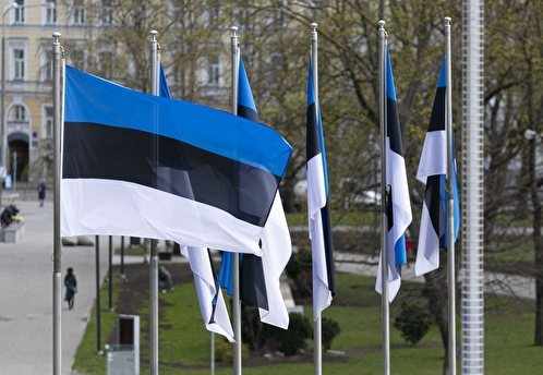 Президент Эстонии подписал закон об использовании активов РФ для помощи Украине