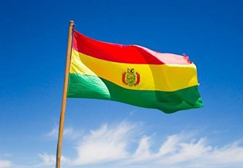 Россия обсудила с Боливией экспорт топлива и газа в страну