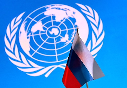 Компаниям из РФ ограничили доступ к продовольственной программе ООН