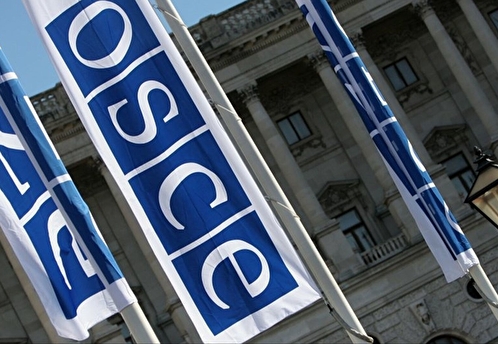 Россия приостанавливает участие в ПА ОБСЕ и прекращает выплаты взносов