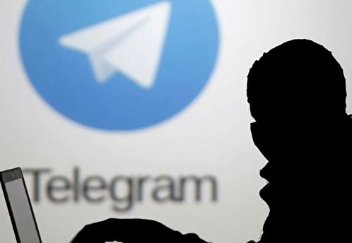 В МВД выявили в Telegram сообщества, сеющие панику в школах