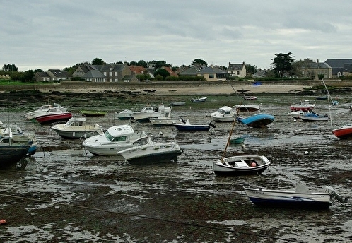 NYT: ураган «Милтон» осушил залив Тампа во Флориде